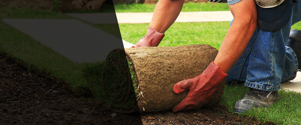 Eastover Landscapers